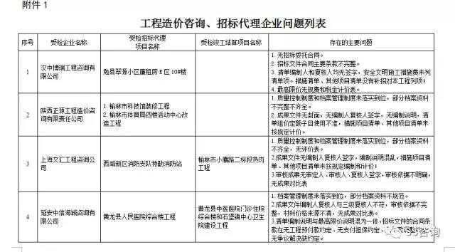 工程造價咨詢、招標(biāo)代理企業(yè)問題列表